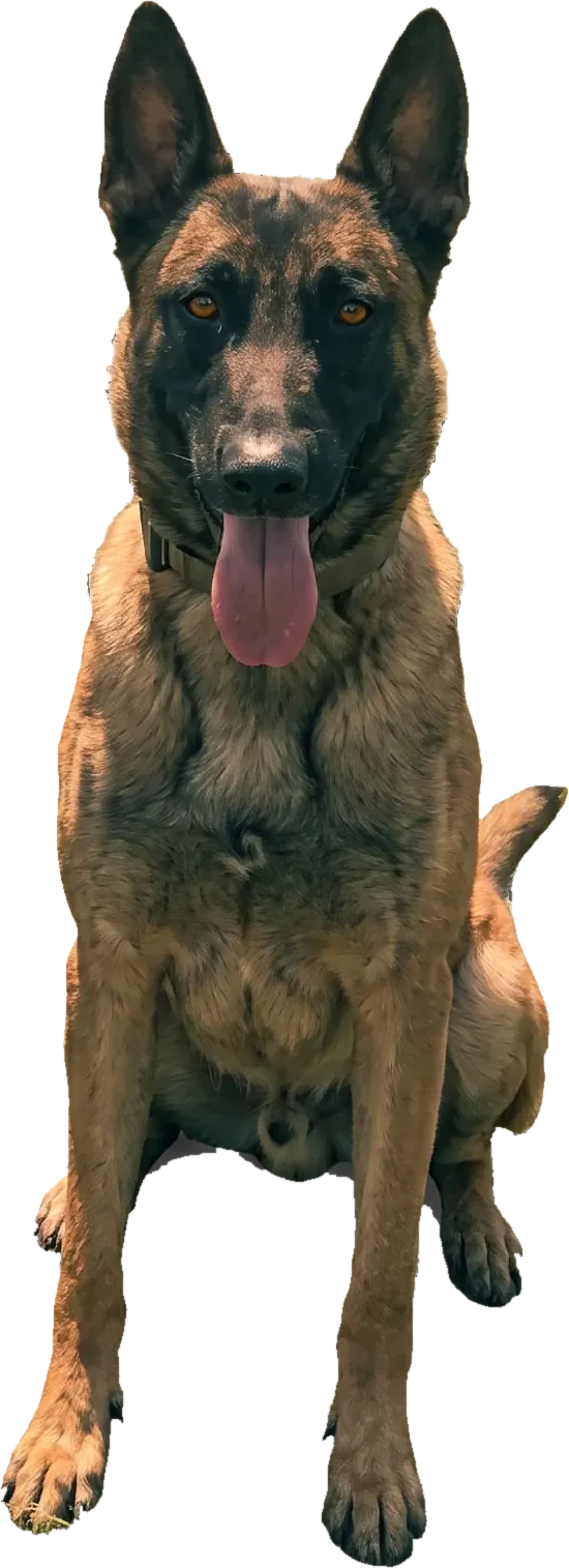 Koba, in memory